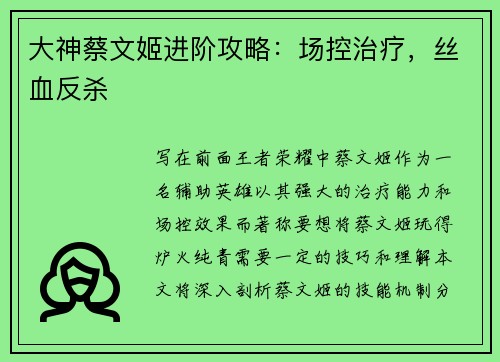 大神蔡文姬进阶攻略：场控治疗，丝血反杀