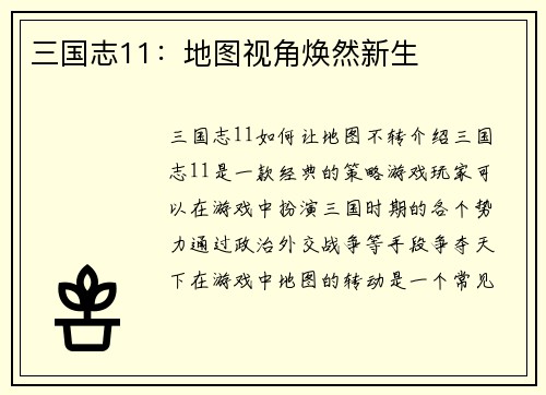 三国志11：地图视角焕然新生